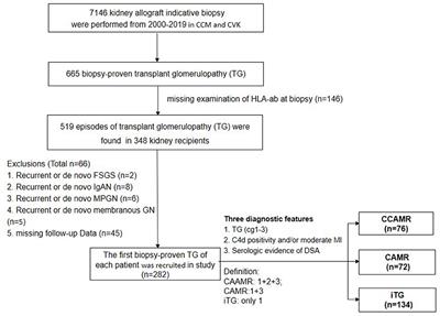 Poor Outcomes in Patients With Transplant Glomerulopathy Independent of Banff Categorization or Therapeutic Interventions